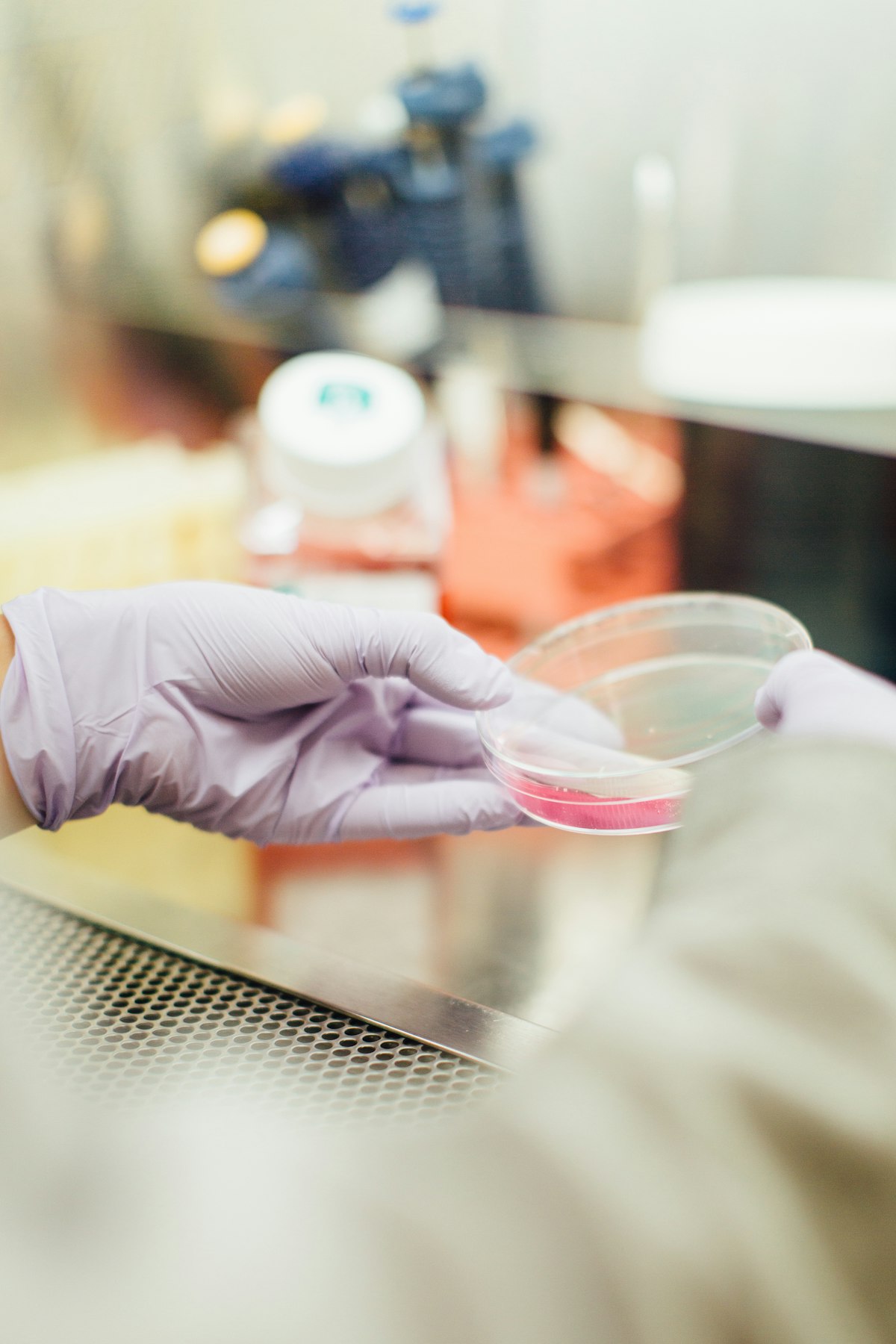 A petri dish held to the light
